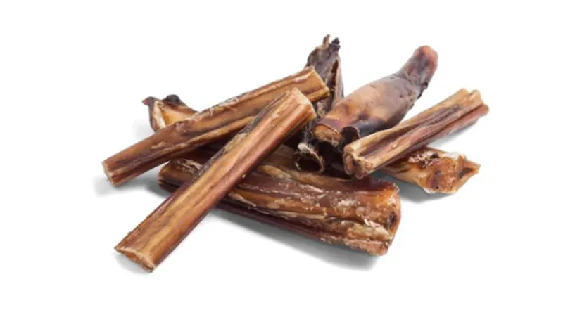 Antos Bulls Pizzle Small